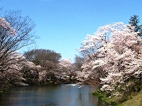 棚倉城跡（亀ケ城公園）02