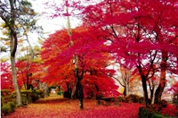 棚倉城跡（亀ケ城公園）04