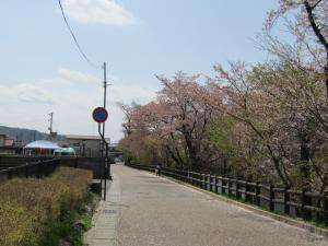 城跡北(1)4月22日 『城跡北(1)4月22日』の画像