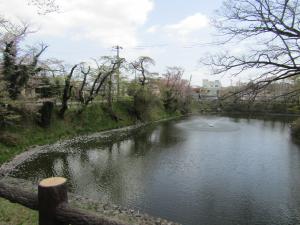 城跡北(2)4月22日 『城跡北(2)4月22日』の画像