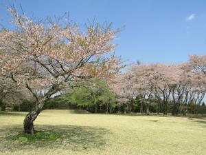 赤館(1)4月22日 『赤館(1)4月22日』の画像