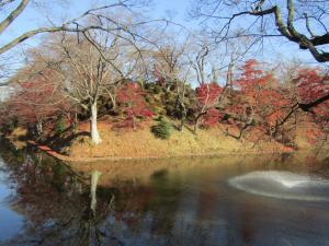 城跡紅葉20221118(4)