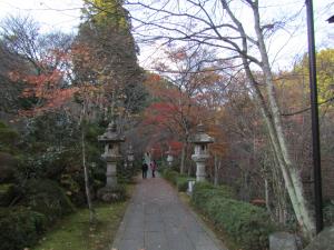 山本紅葉20221118参道