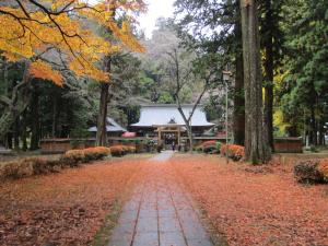 馬場紅葉20221121(3)