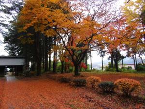馬場紅葉20221121(4)