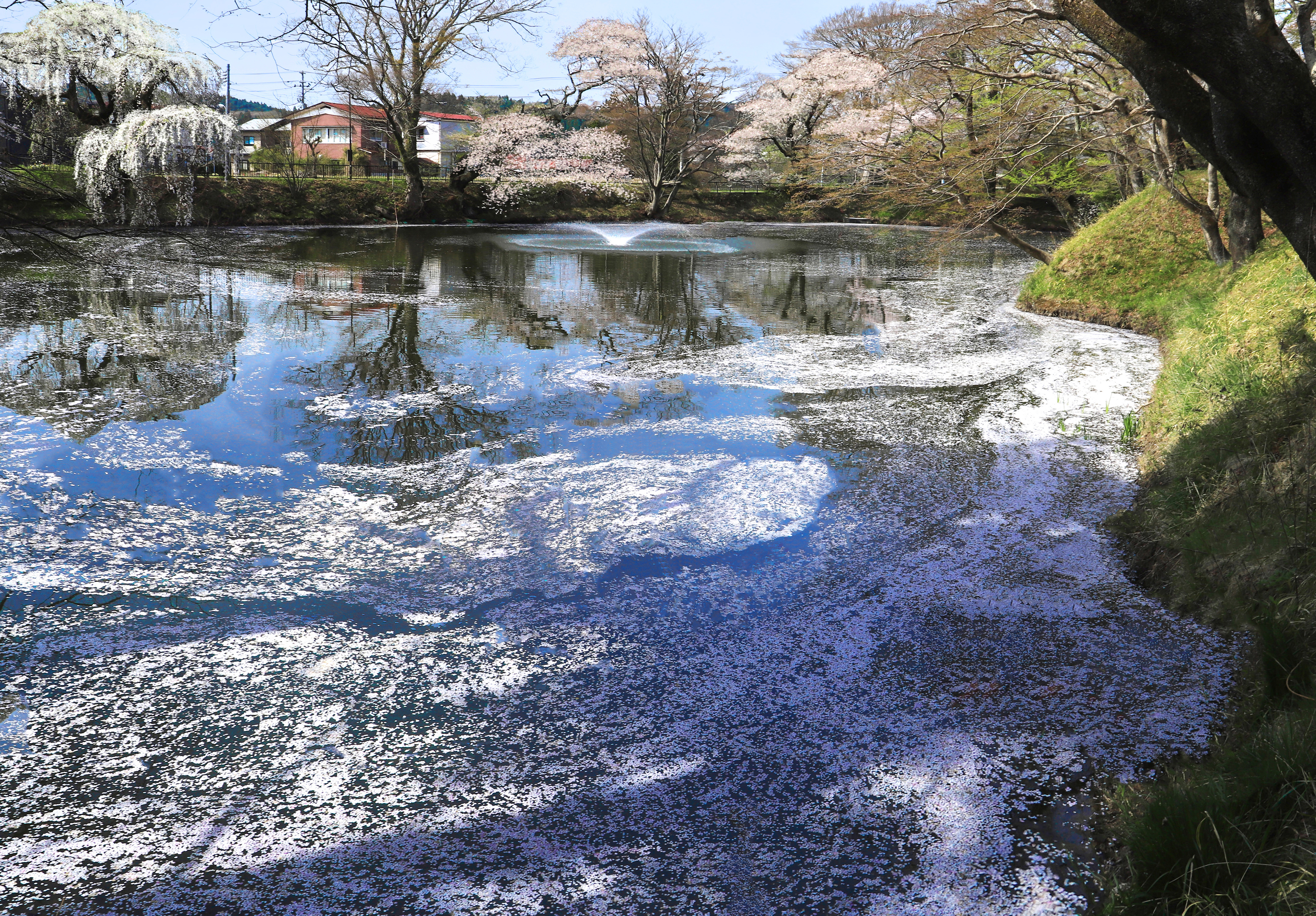2022風景の部入選　水面を飾る　小野瀬清三