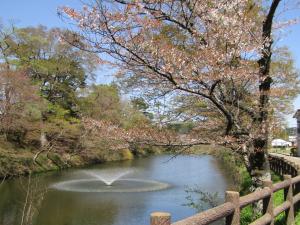 桜城跡2023041001