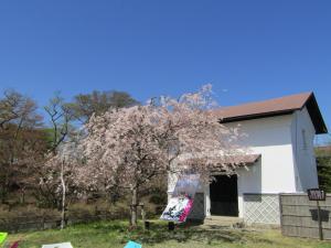 桜城跡2023041002