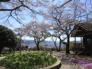 桜赤館2023041002