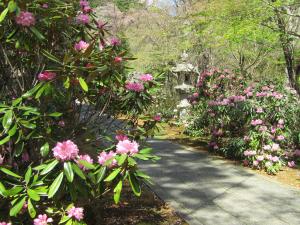 桜山本2023041003