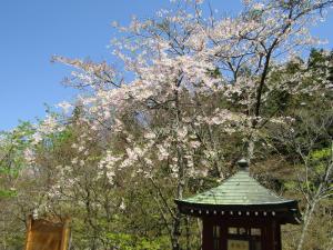 桜山本2023041004
