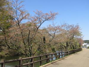 桜城跡2023041004
