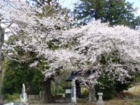 常隆寺03