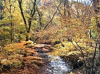 八溝山04
