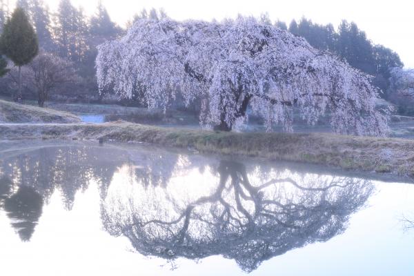 2016　風景優(2)