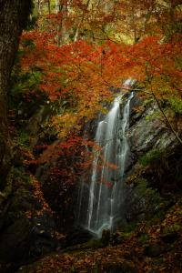 16風景の部入選 紅葉不動大滝