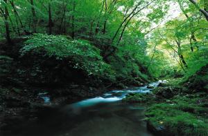 15風景の部入選久慈川渓流
