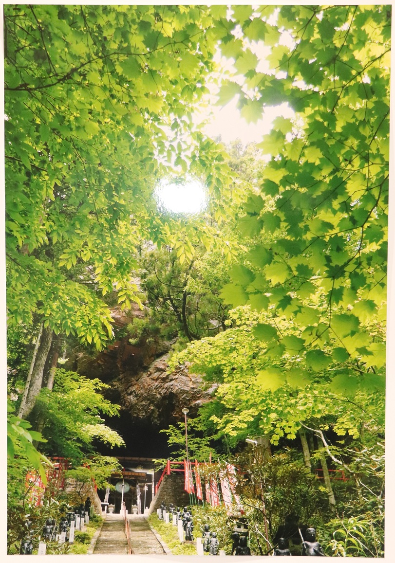 2018風景優秀「新緑」