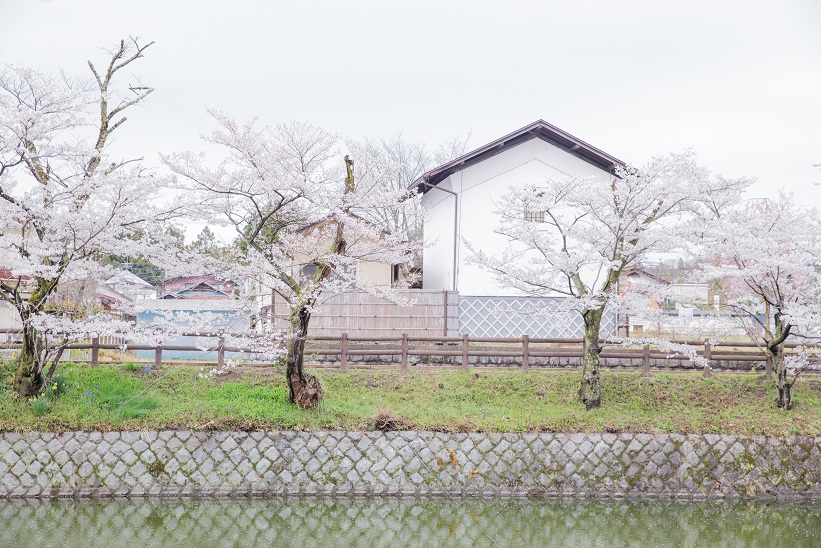 2018風景入選「桜舞う小京都、棚倉」