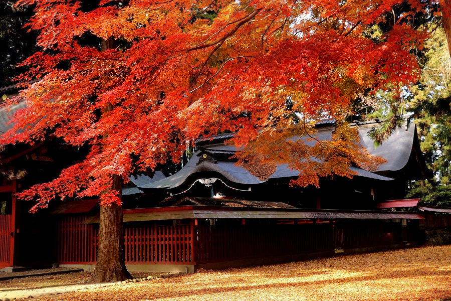 2018観光協会長賞「八槻都々古別神社の秋」