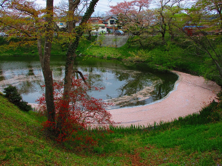 2018東白日報賞「お堀に浮かぶ桜」