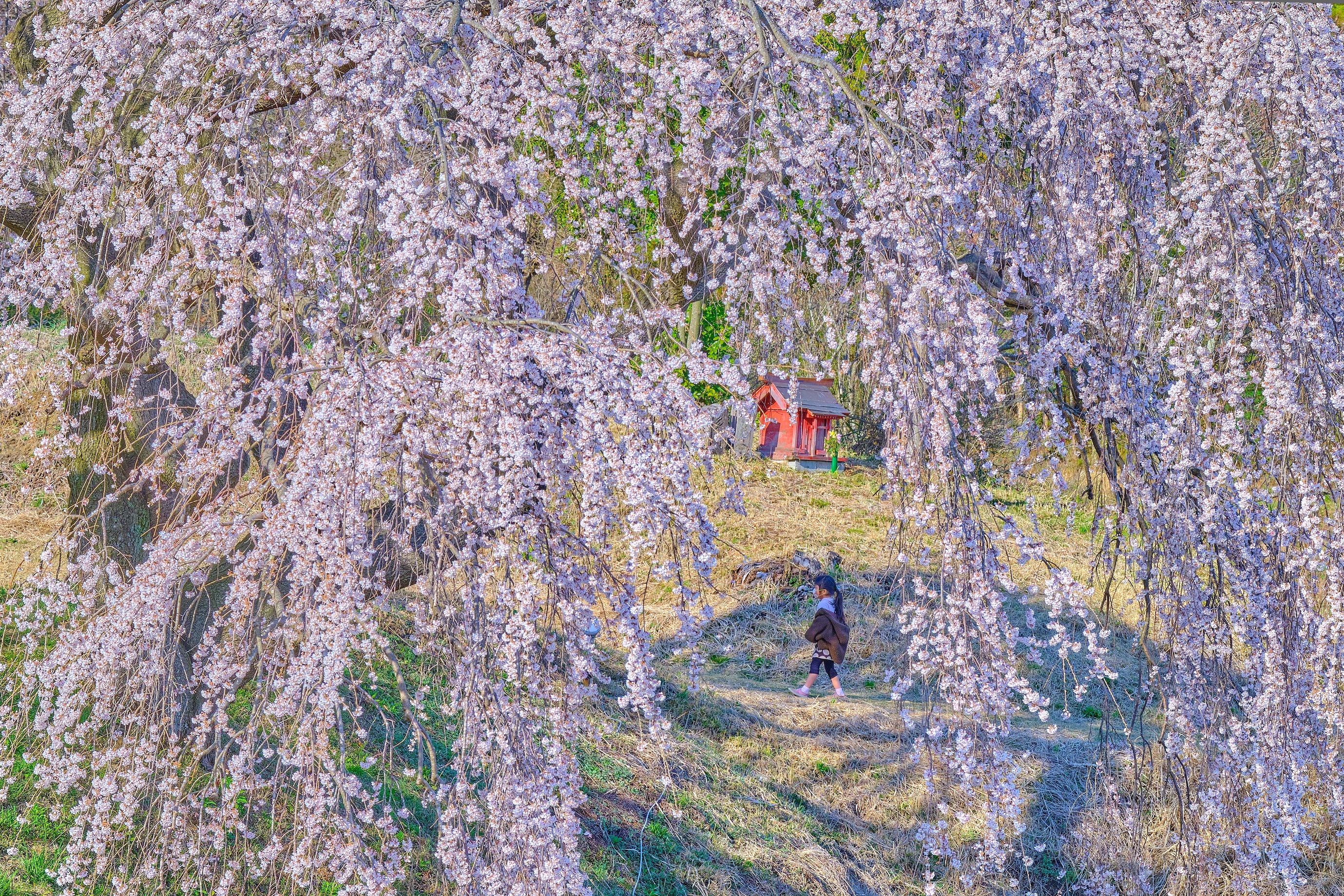 風景優秀(2)