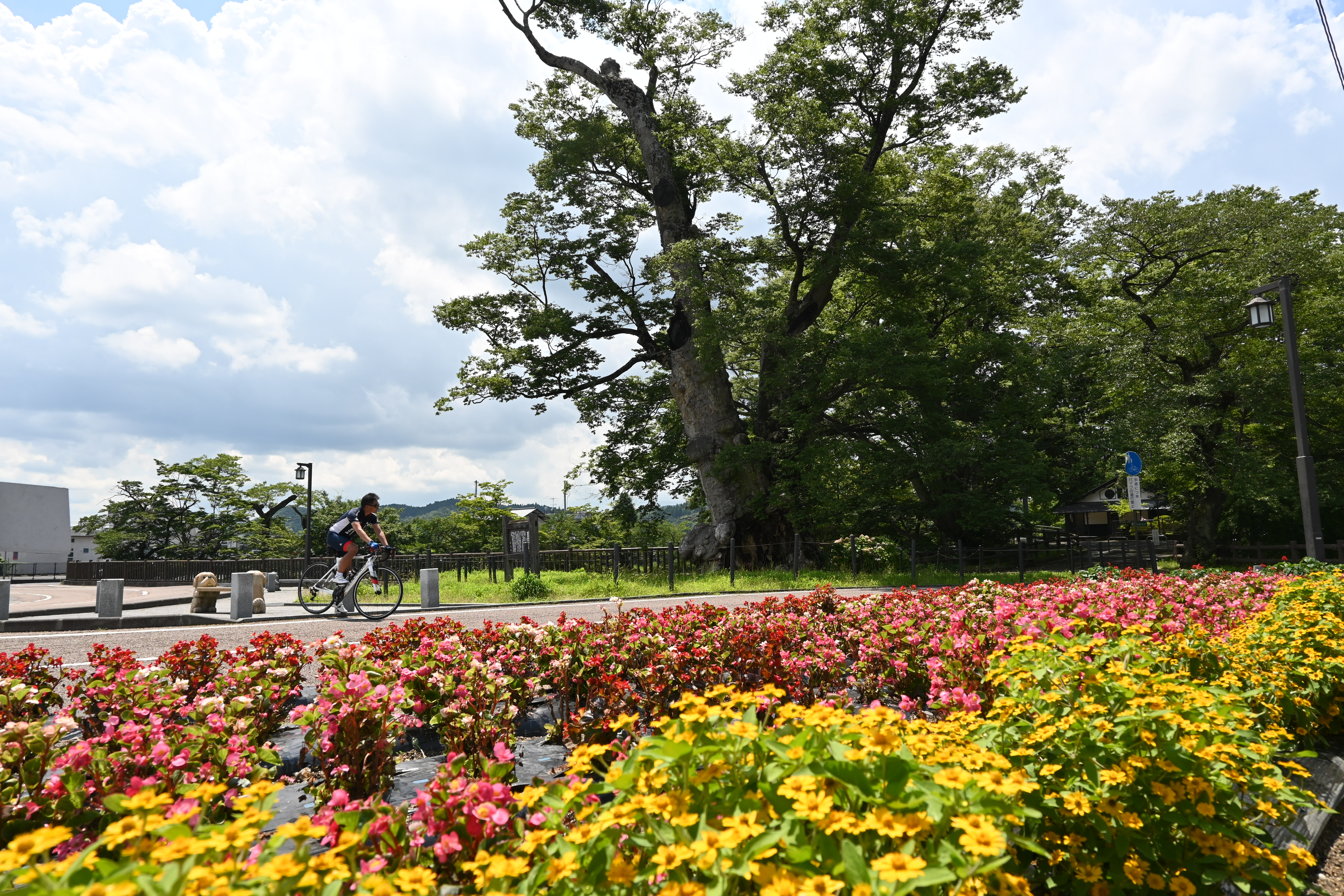 052021 風景 入選