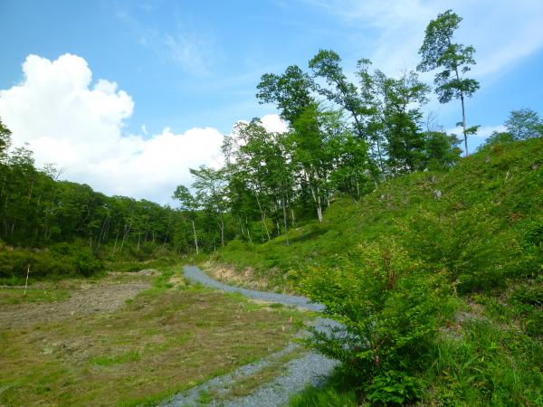 里山入口