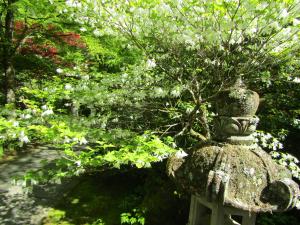 つつじ山本2023042702