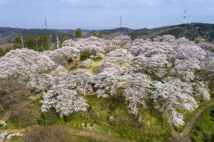 赤館公園02