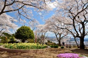 赤館公園04