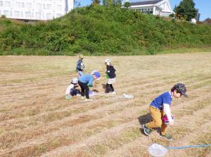2023秋小学生1