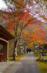 2023フォトコン大森正道