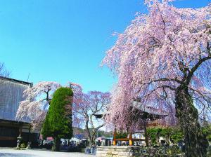 小京都15