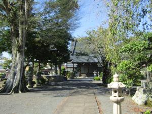 hasu