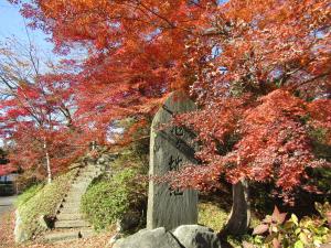 城跡紅葉202411226
