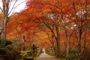 山本（秋）