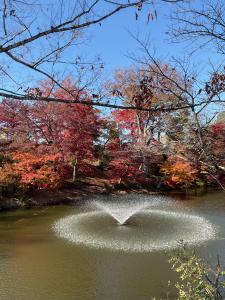 城跡紅葉R7.11.17 2