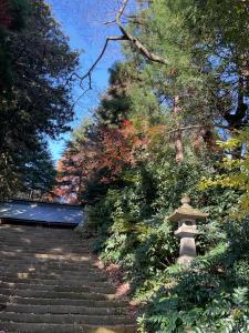 馬場紅葉R7.11.17 1