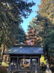 馬場紅葉R7.11.17 2