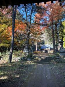 馬場紅葉R7.11.17 3