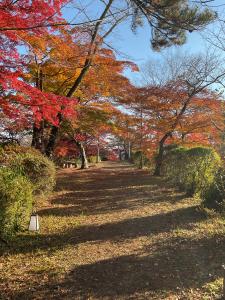 城跡紅葉R7.11.17 5