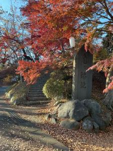 城跡紅葉R7.11.17 6