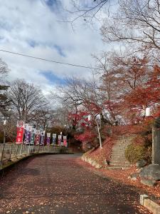 城跡紅葉R7.11.26 1