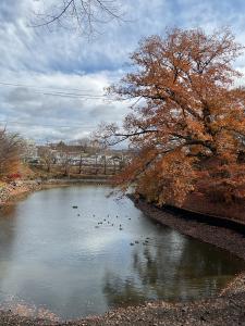 城跡紅葉R7.11.26 4