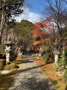 山本紅葉R7.11.26 3