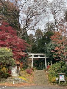 馬場紅葉R7.11.26 1