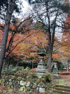 馬場紅葉R7.11.26 2