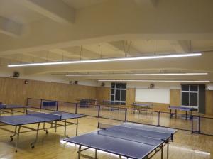 卓球場照明