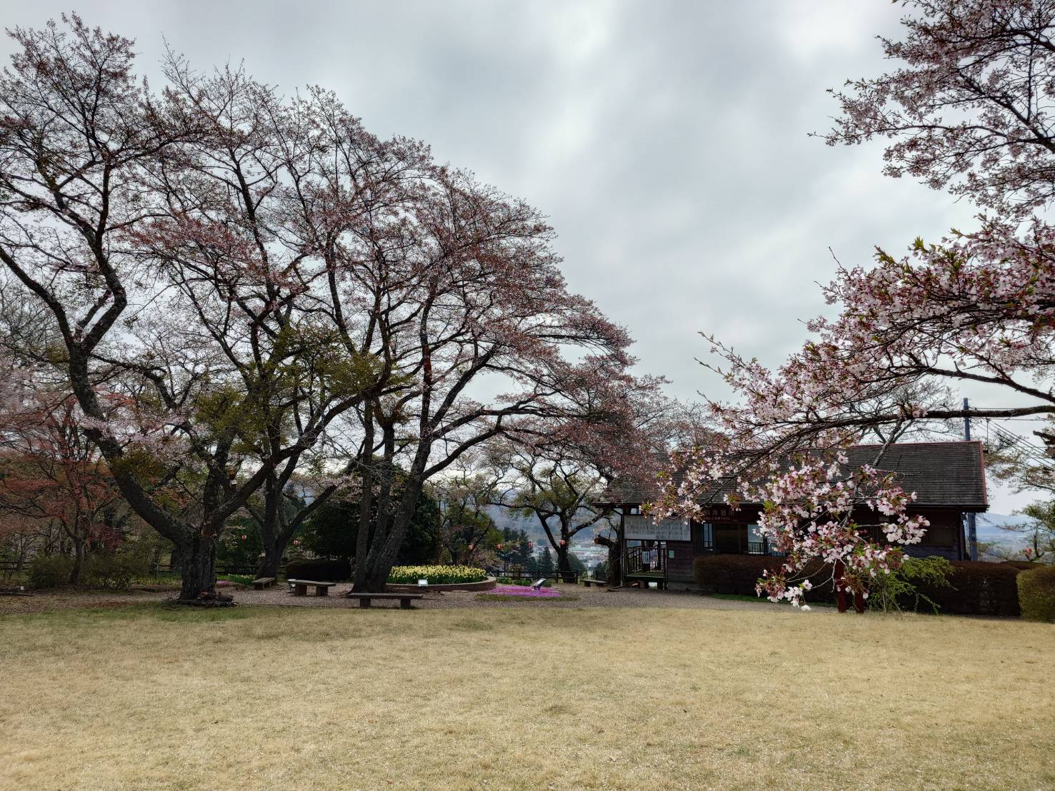 0414赤館2